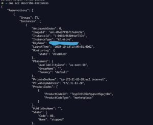 ec2 cli instances examples