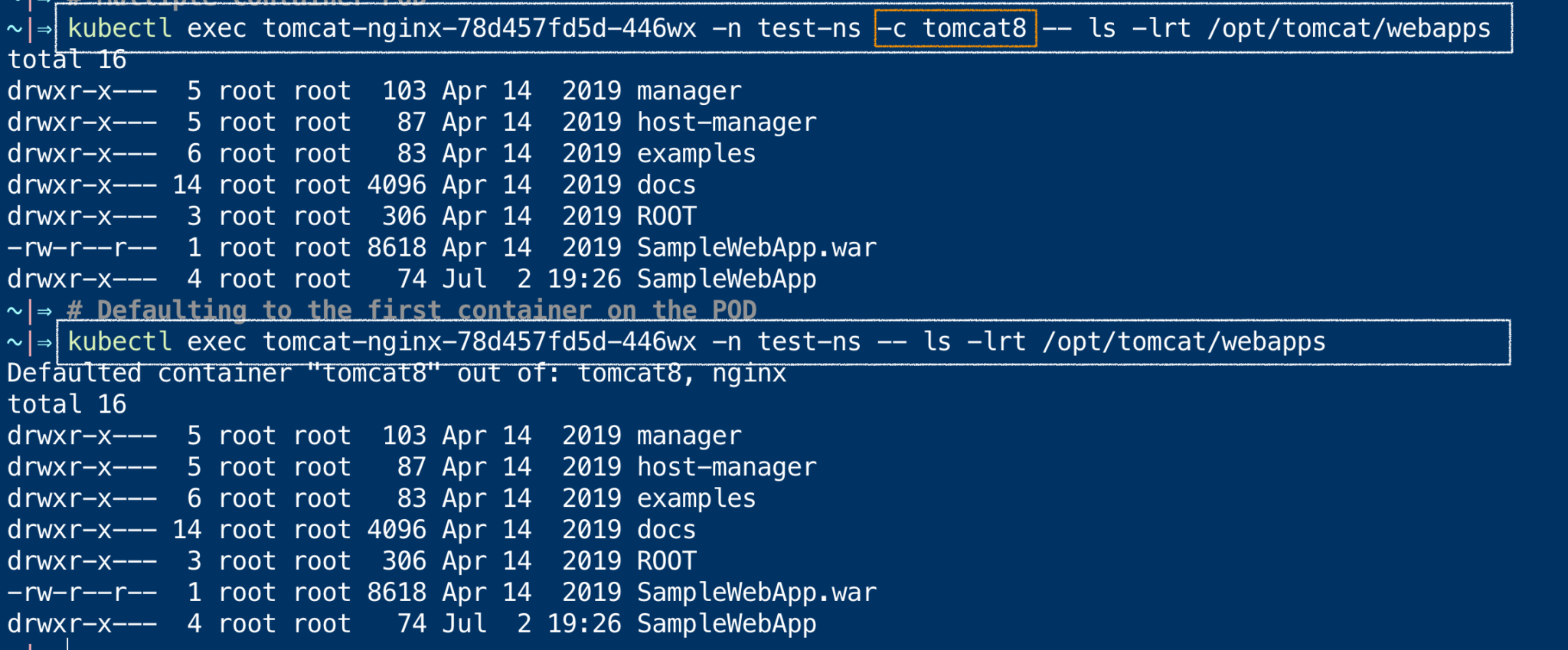 kubectl-exec-examples-execute-shell-commands-into-a-pod-k8s